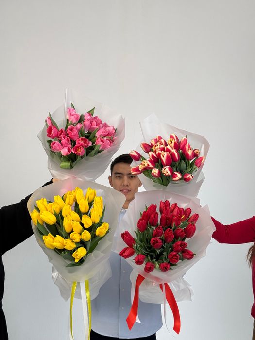 Местные Тюльпаны Оптом!