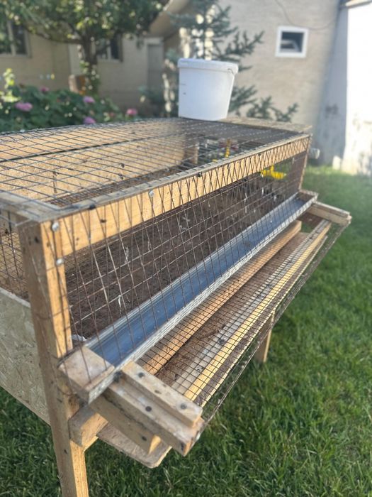 Бөдене Перепёлка