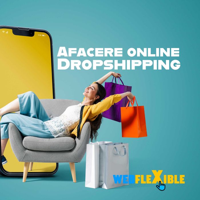 Afacere online Magazin online Dropshipping la cheie!
