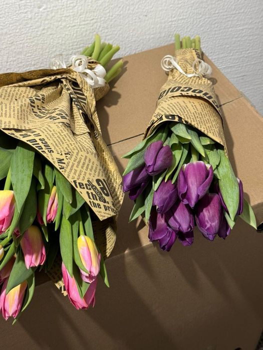 продам тюльпаны свежие