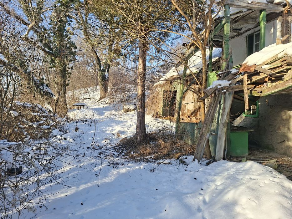 Teren 17 ari intravilan în Dămieni nr. 1 – zonă liniștită