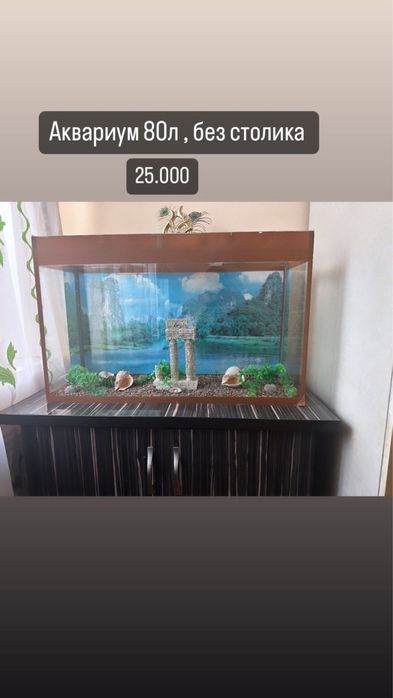 Аквариум аквариум