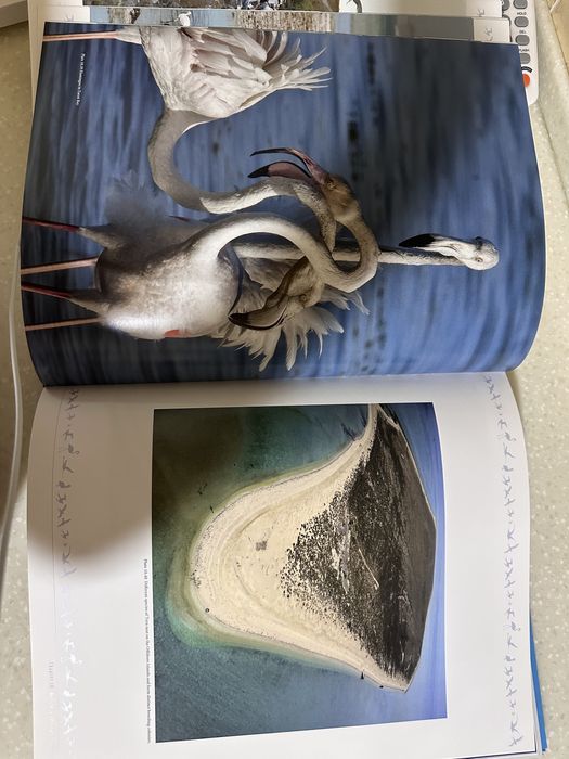 Атлас морской