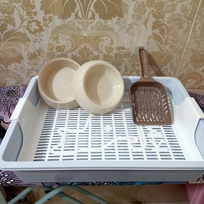 Продам набор для котят