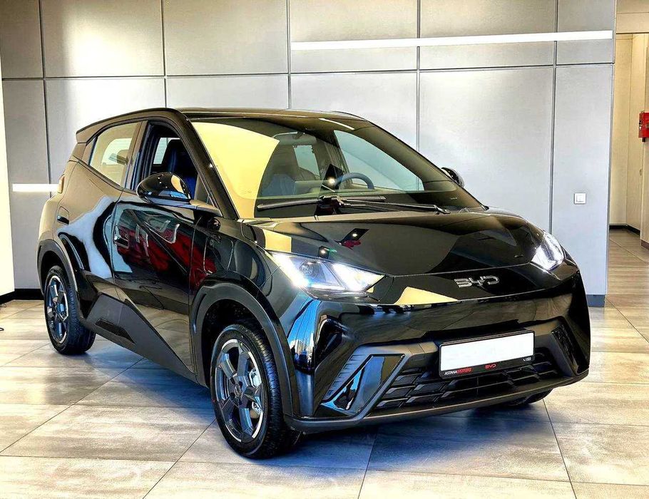 BYD Seagull pod zakaz