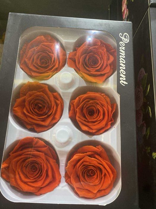 Стабилизированные растения - Декор премиум класса