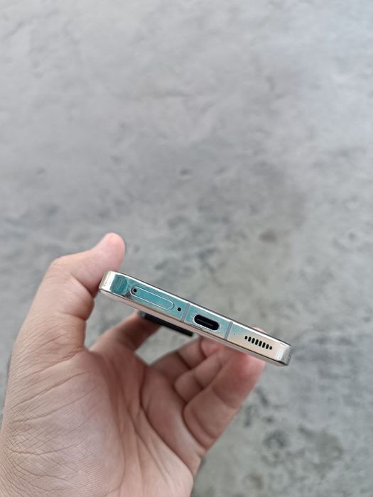 Xiaomi 13 12/256