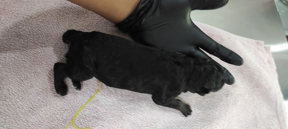 Врач с выездом на дом