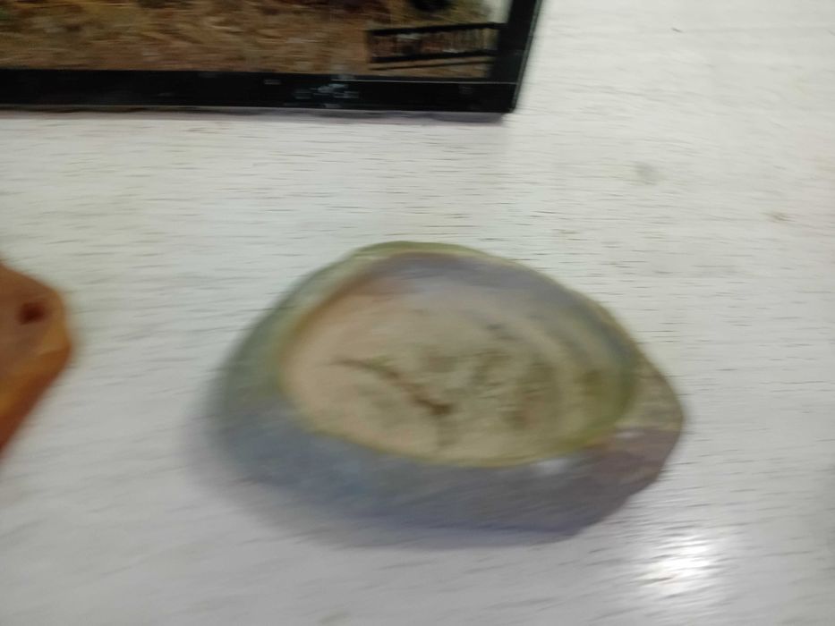 Терариум терароум терариум