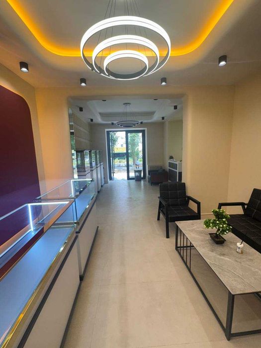 Продается 1 Линия 250м² НЕЖИЛОЕ с Арендатором  ул.Шота Руставелли