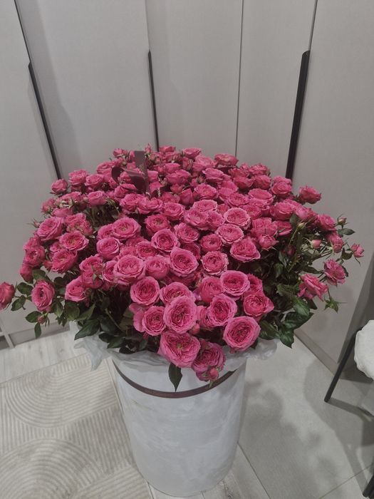 Продам Цветы  куставые розы