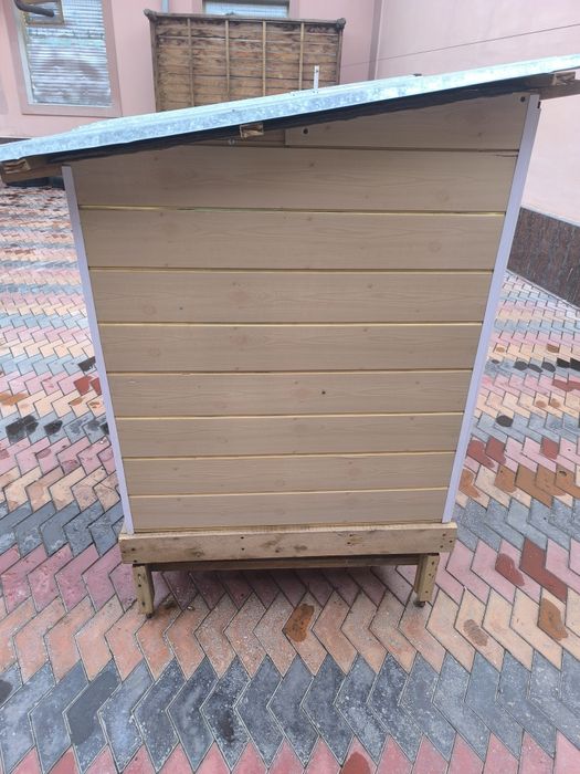 Tovuq katak Товук катак