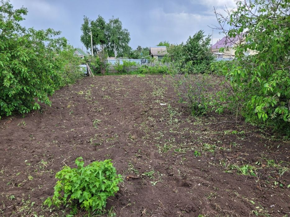 Продам дачу, Текстильщик