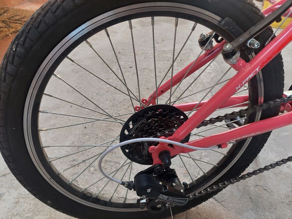 Bicicleta X-Fact MTB Princess 20"
MTB Princess 20"

Bicicleta pentru copii