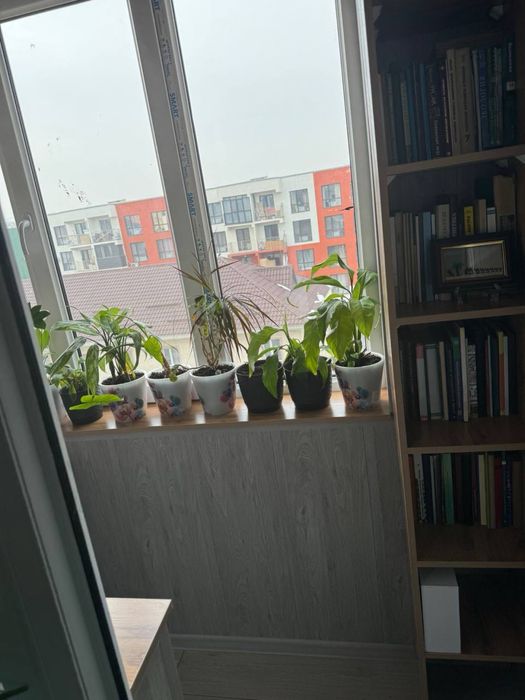 Ищу парня на подселение. Ищу соседа