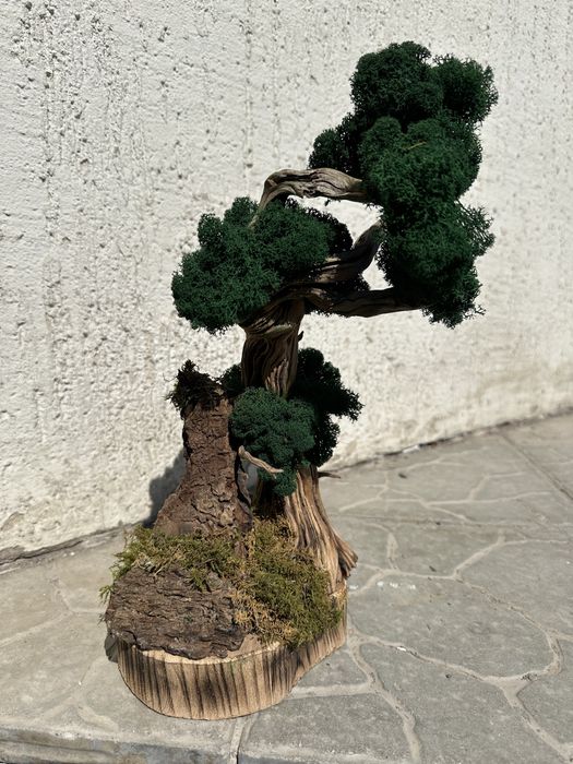Продам искусственный бонсай