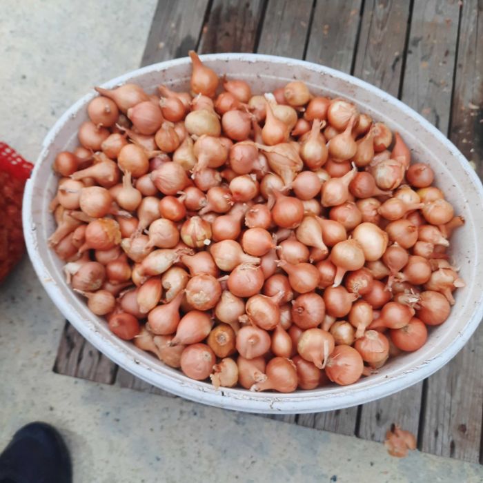 Арпаджик и Балучка