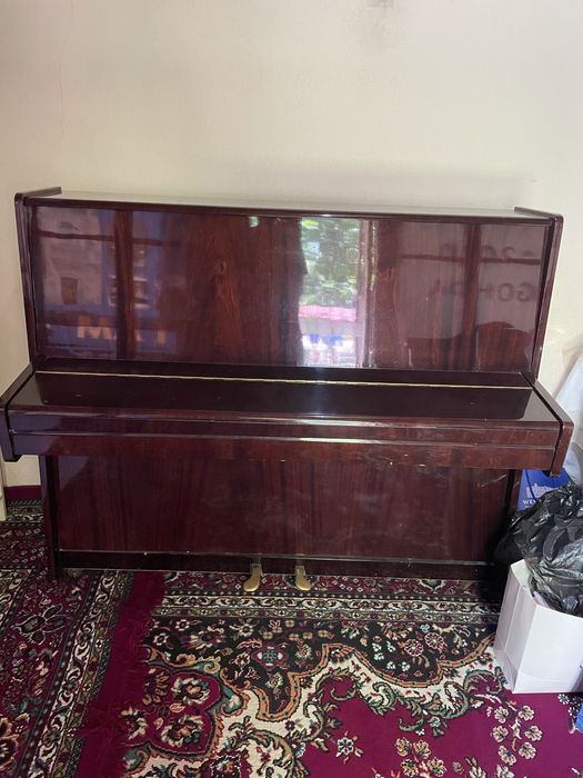 Pianino Lastochka