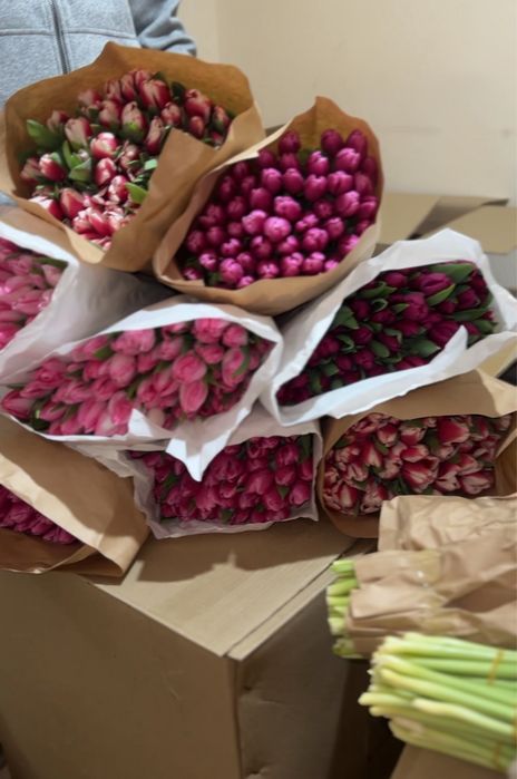 Оптом и пачками тюльпаны по 50шт
