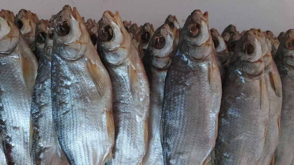 Кепкен балық (вяленая рыба - рыбец, подледный 1кг - 4000)