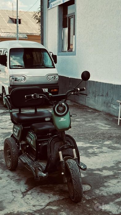 Squter toza 9 aylik