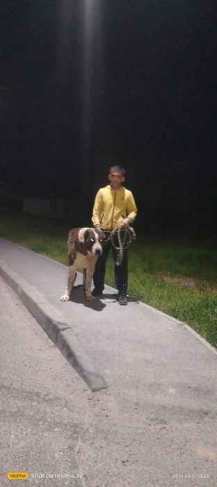 Кавкаский супертяж