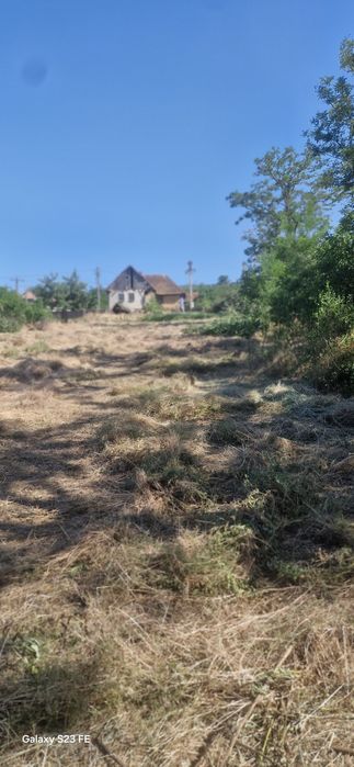 Teren pentru casă cu gradină