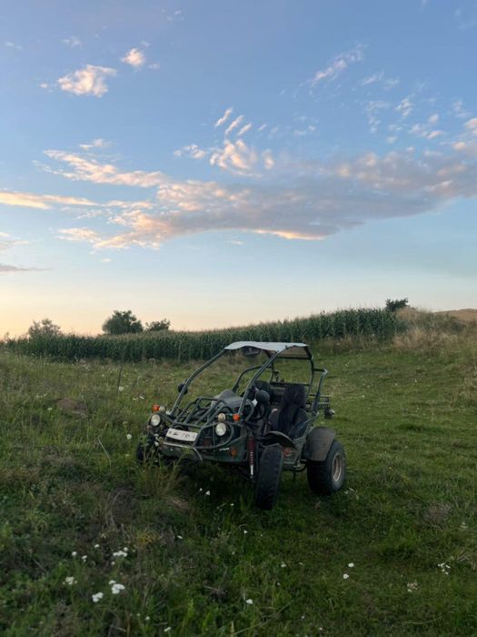 Vând sau schimb buggy