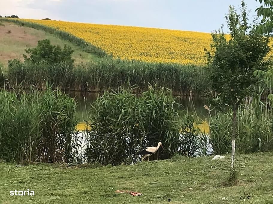 Casă de închiriat cu vedere la lac aproape de Therme și Aeroport