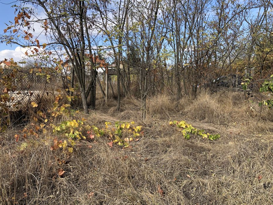 Продава се Парцел в Русе, Веждата - 1175 кв.м за 69 €/кв.м - Снимка #3