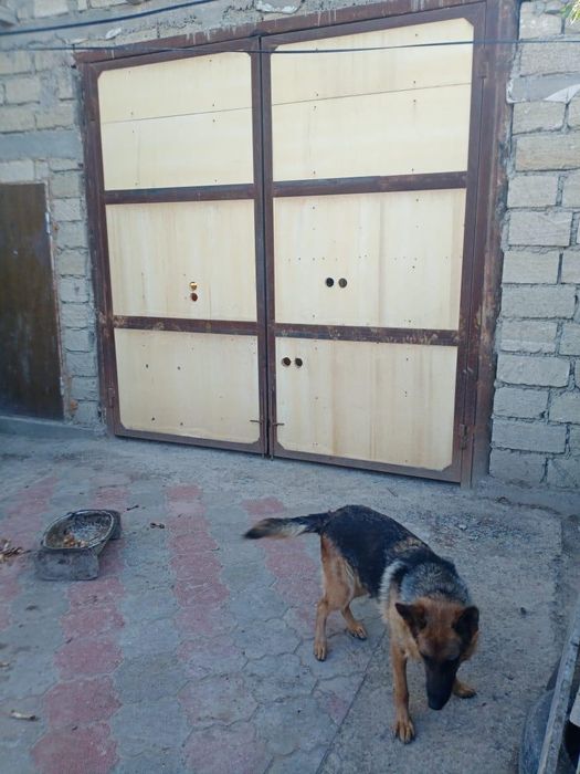 Продается здания для бизнеса.