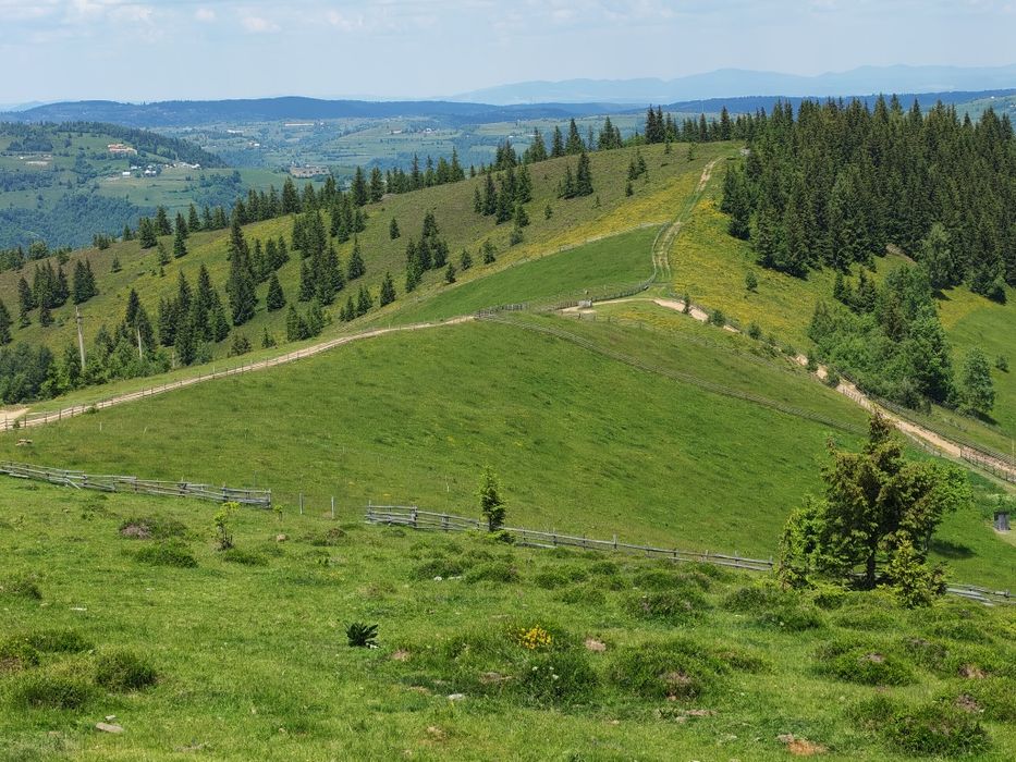 Teren intravilan