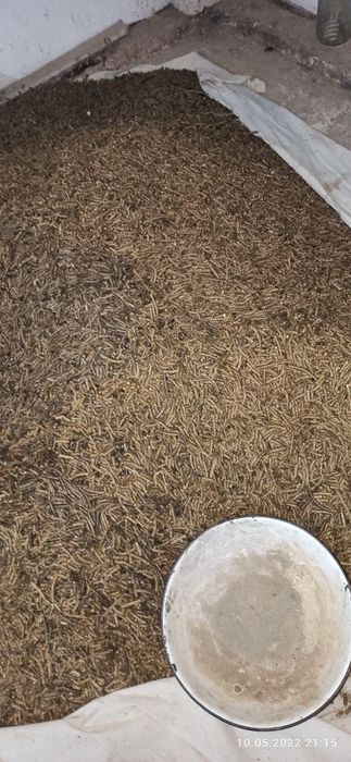 Гранулятор уневесальное