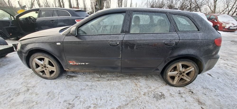 Dezmembrez Audi A3 8P 1.9D  2005 BKC