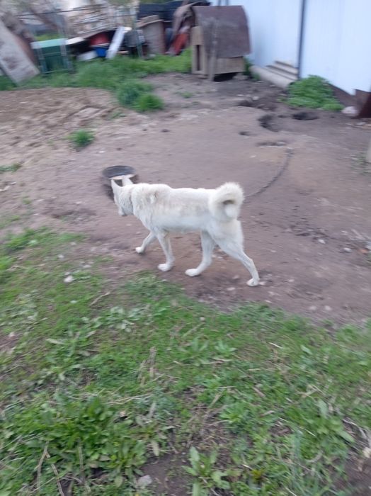 Продам Продам Продам