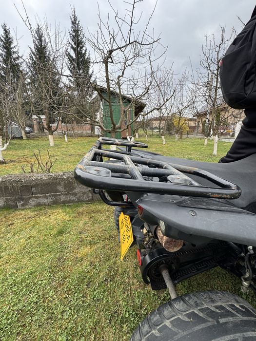 Vand portbagaj fier/ grilaj tgb target