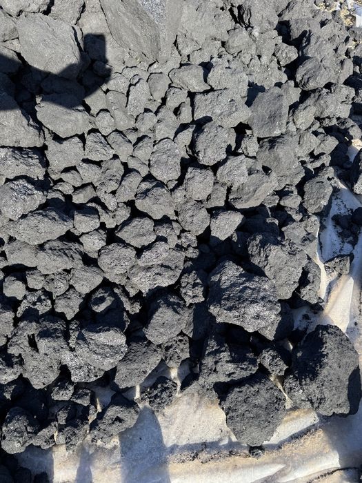 Cocs petrolier petromidia