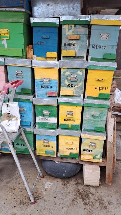 Inventar apicol,rame,cutii,roinite