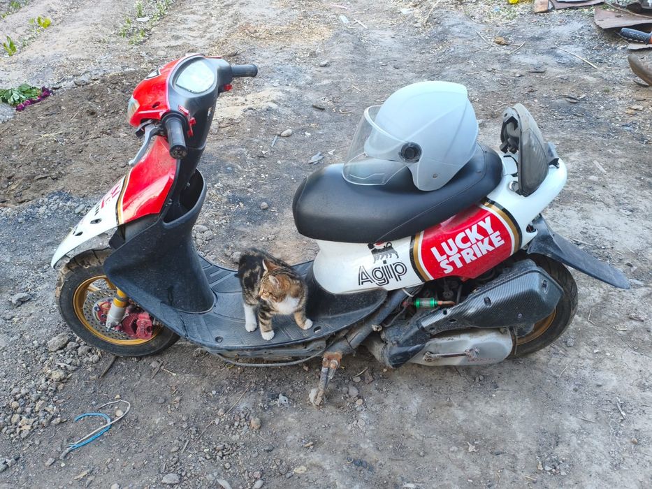 Honda dio 35 zx(AF-35zx)