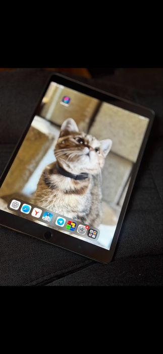 iPad Pro 10.5 256