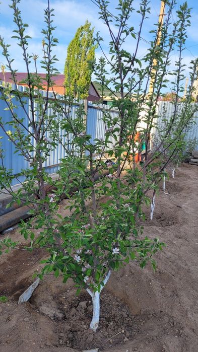 Продается  коттедж в 3х уровнях