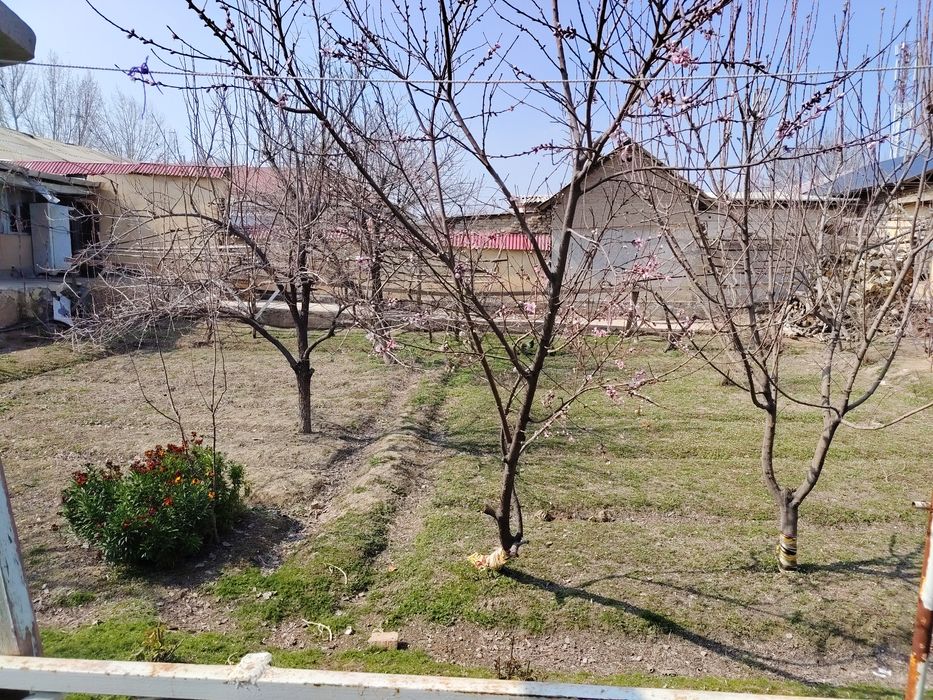 ховли сотилади гулистон 12суток