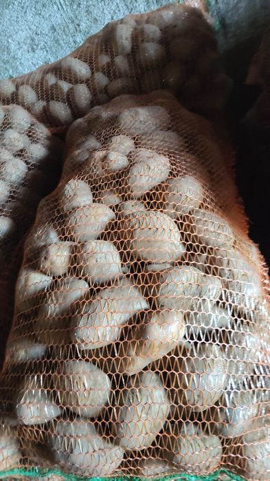 Cattofi consum , samanta sí pentru animale