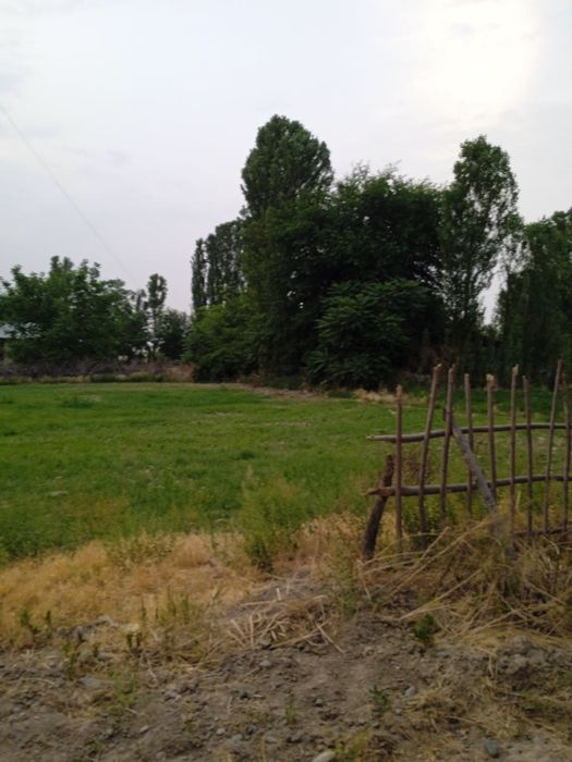 Yer sotiladi 6 sotix