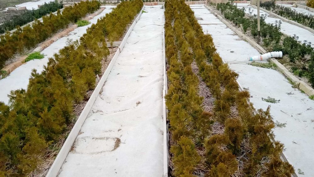 Винилна мрежа(МЕШ), приложима в строителството и селското стопанство.