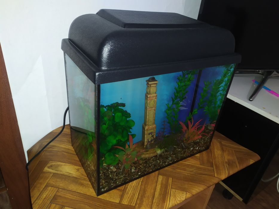 Новый аквариум + бонусы и рыбки.