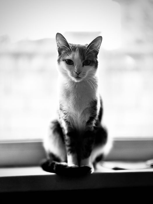 Фотограф Астана