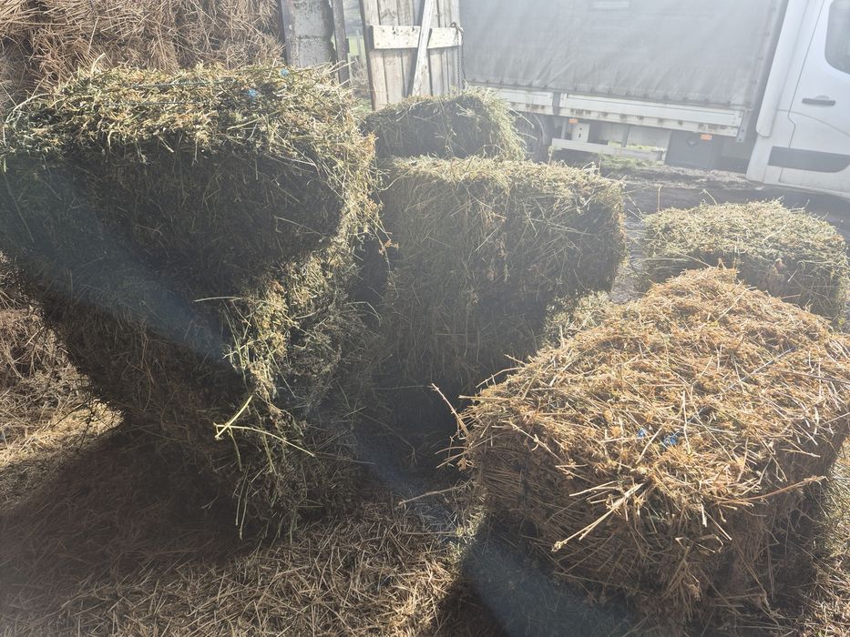 Vând baloti de fân Lucernă Producție 2025 trasport la domiciliu