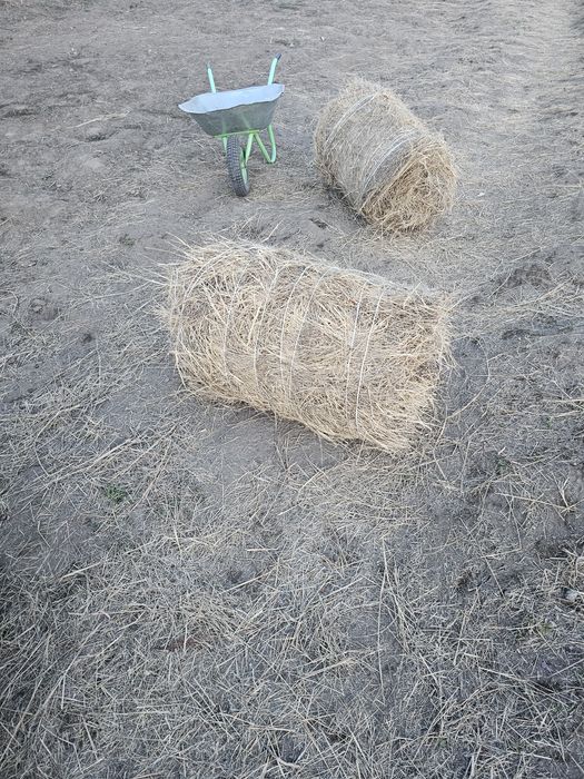 Продам сено 1300
