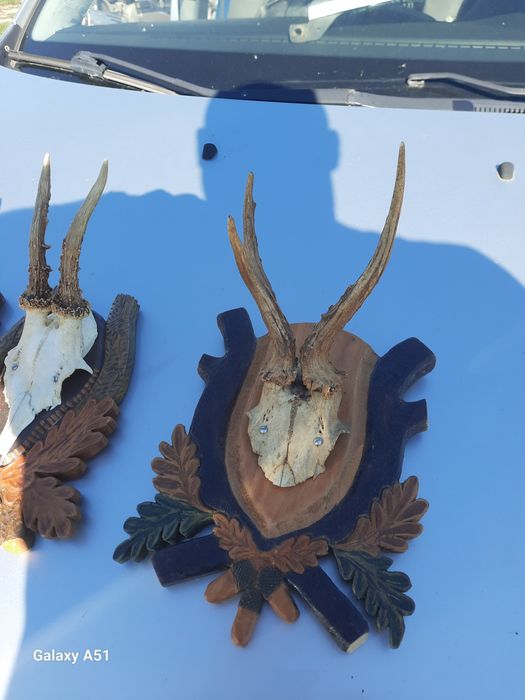 Елински рога. Трофей